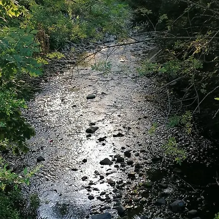 Apartment Haus Kreuzberg Mit Schlossblick *